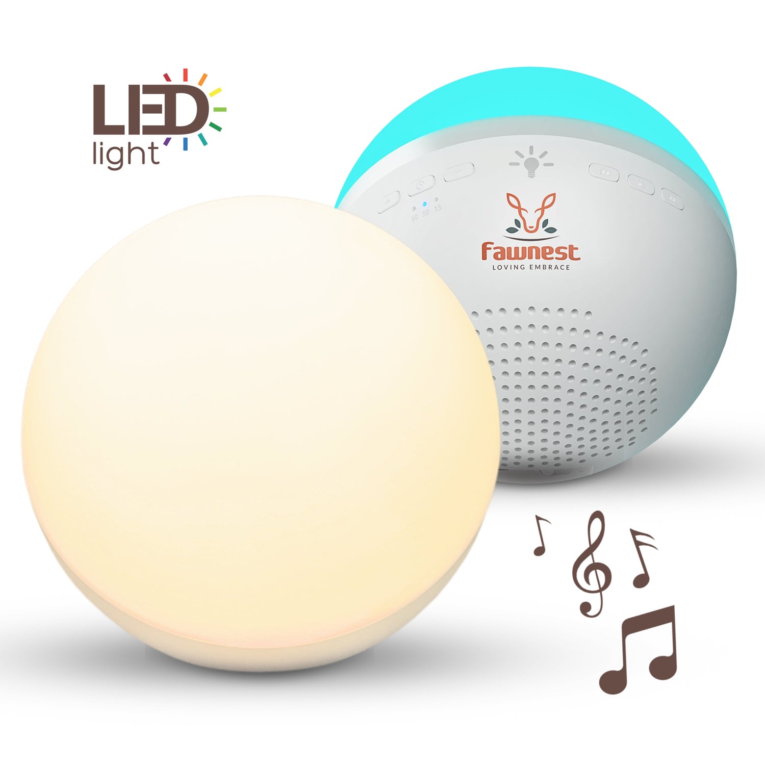 Night Light
